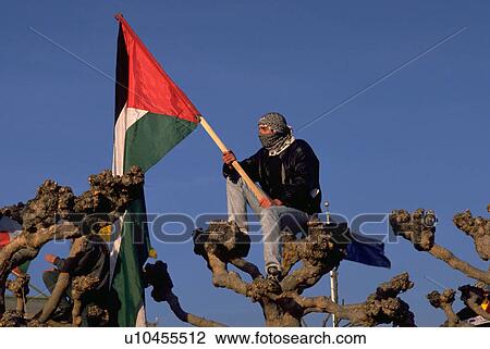 protest, california, francisco, san, palestinian View Large Photo Image Stock Image - protest, california, francisco, san, palestinian. Fotosearch