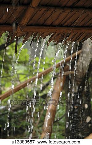 rain, pattern, cambodia, person, nature, people View Large Photo Image Stock Photo - rain, pattern, cambodia, person, nature, people. Fotosearch