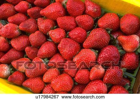 red, textures, design, graphic, patterns, background View Large Photo Image Stock Photo - red, textures, design, graphic, patterns, background. Fotosearch