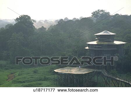 resort, house, village, beauty, construction, tree View Large Photo Image Stock Photo - resort, house, village, beauty, construction, tree. Fotosearch