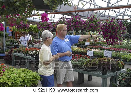 Stock Image - retail, Richardson, commerce, nursery, Calloway's, Texas. Fotosearch