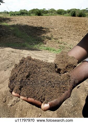 Stock Image - rich, pattern, zambia, person, nature, people. Fotosearch