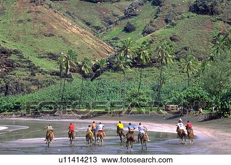 riding, horse, back, males, men, beach View Large Photo Image Stock Image - riding, horse, back, males, men, beach. Fotosearch