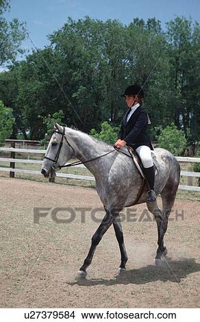 riding, released, english, horse, girl, model View Large Photo Image Picture - riding, released, english, horse, girl, model. Fotosearch
