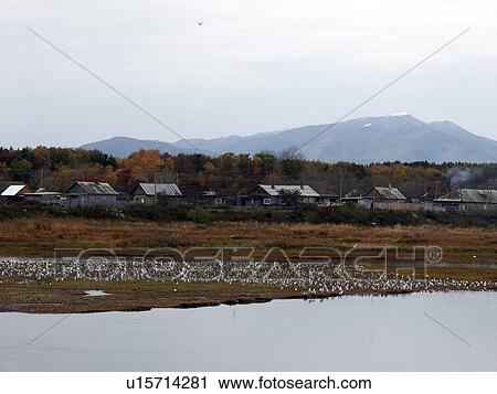 sakhalin, person, tunaycha, lake, russia, people View Large Photo Image Stock Image - sakhalin, person, tunaycha, lake, russia, people. Fotosearch