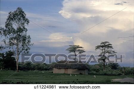 Stock Image - scene, people, evening, zambia, person, food. Fotosearch