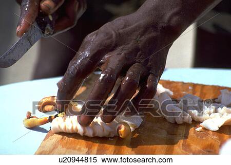 seafood, conch, caribbean, bahama, grand, cleaning View Large Photo Image Stock Photography - seafood, conch, caribbean, bahama, grand, cleaning. Fotosearch