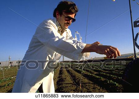 seattle, biology, scientist, washington, people View Large Photo Image Stock Image - seattle, biology, scientist, washington, people. Fotosearch