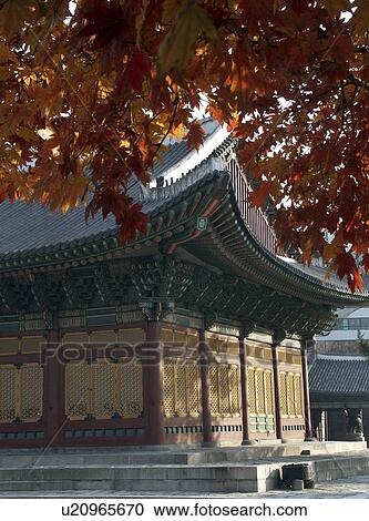 seoul, person, palace, royal, korea, people View Large Photo Image Stock Image - seoul, person, palace, royal, korea, people. Fotosearch