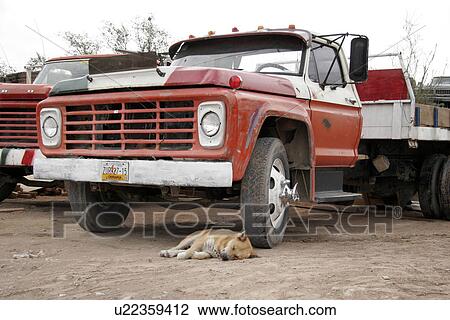 Stock Image - sleeping, people, hispanic, mexico, person, dog. Fotosearch
