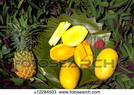 sliced, mangoes, philippines, plate, pineapple, fruit View Large Photo Image Stock Image - sliced, mangoes, philippines, plate, pineapple, fruit. Fotosearch