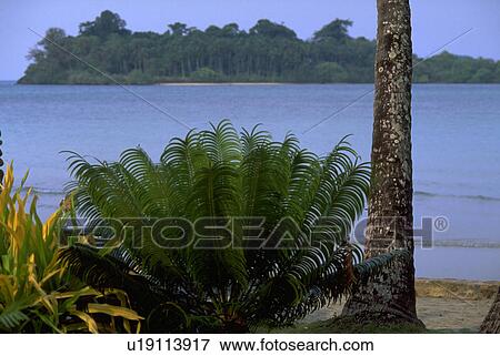 some, island, ocean, view, thailand, kochang View Large Photo Image Stock Photo - some, island, ocean, view, thailand, kochang. Fotosearch