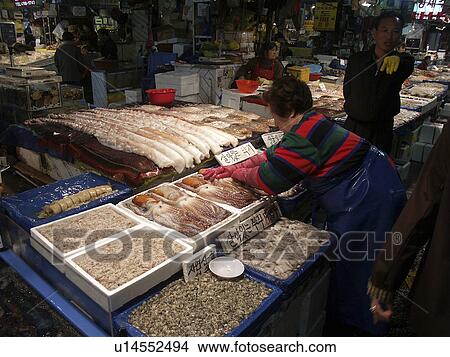 squid, people, korea, fish, person, food View Large Photo Image Picture - squid, people, korea, fish, person, food. Fotosearch