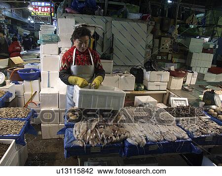 squid, people, korea, fish, person, food View Large Photo Image Stock Image - squid, people, korea, fish, person, food. Fotosearch