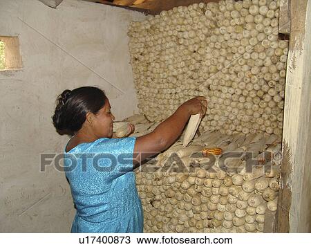 stacking, people, honduras, home, person, woman View Large Photo Image Stock Image - stacking, people, honduras, home, person, woman. Fotosearch
