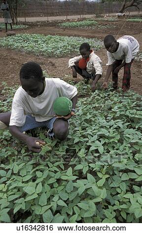 Stock Photograph - sudan, person, south, 6136, school, people. Fotosearch