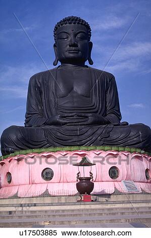 taiwan, black, changhau, statue, buddha, huge View Large Photo Image Stock Photography - taiwan, black, changhau, statue, buddha, huge. Fotosearch