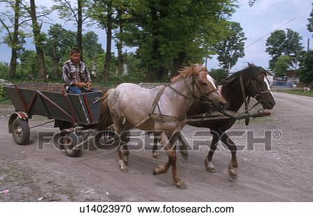Stock Image - ternopil, horse, cart, 3536, person, people. Fotosearch