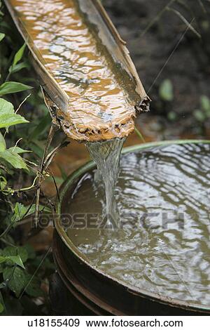 Stock Photo - texture, people, person, nature, pattern, water. Fotosearch