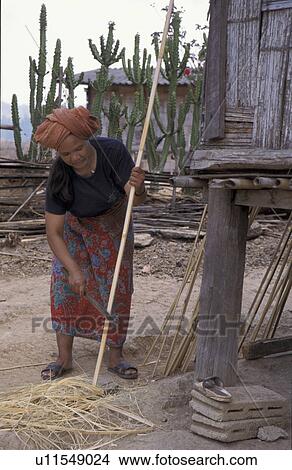 Picture - thailand, people, raking, 9376, person, woman. Fotosearch