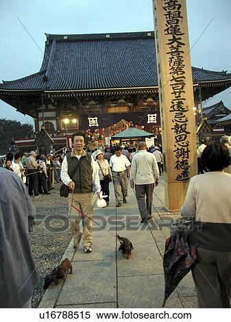 tokyo, person, temple, buddhist, japan, people View Large Photo Image Stock Photography - tokyo, person, temple, buddhist, japan, people. Fotosearch