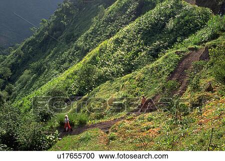 trail, child, walking, women, kid, family View Large Photo Image Stock Image - trail, child, walking, women, kid, family. Fotosearch