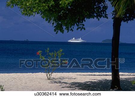 Picture - tree, white, palm, beach, sand, island. Fotosearch