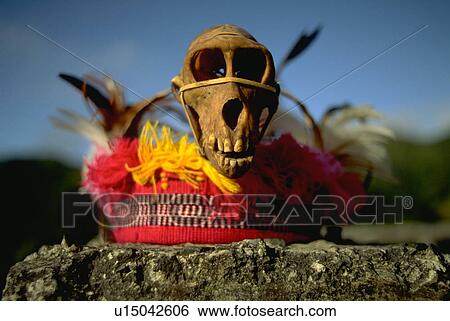 Stock Photograph - tribe, skull, monkey, headdress, ifugao. Fotosearch