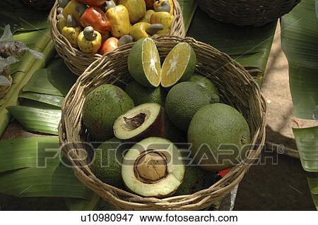 tropical, pattern, brazil, person, nature, people View Large Photo Image Stock Photo - tropical, pattern, brazil, person, nature, people. Fotosearch