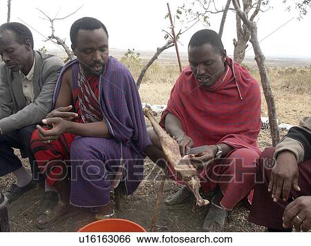 village, person, men, masai, tanzania, people View Large Photo Image Stock Photograph - village, person, men, masai, tanzania, people. Fotosearch