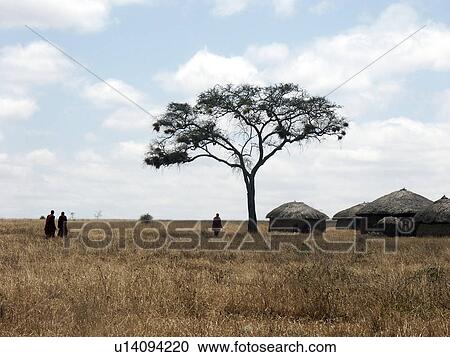 village, person, moita, masai, tanzania, people View Large Photo Image Stock Image - village, person, moita, masai, tanzania, people. Fotosearch
