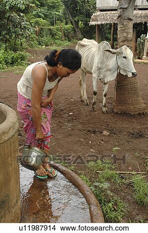 Picture - washing, people, cambodia, person, fitness, woman. Fotosearch