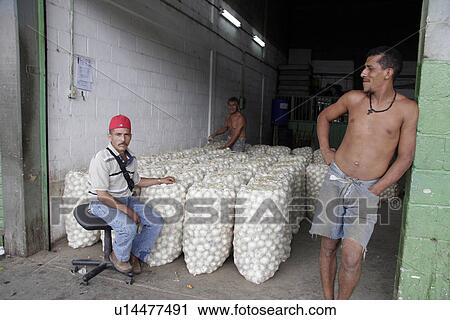 wholesale, people, venezuela, person, fruit, food View Large Photo Image Stock Image - wholesale, people, venezuela, person, fruit, food. Fotosearch