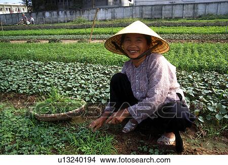 worked, person, community, farming, 3386, people View Large Photo Image Picture - worked, person, community, farming, 3386, people. Fotosearch