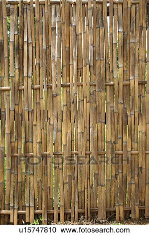 Stock Image - woven, pattern, detail, thailand, nature, house. Fotosearch