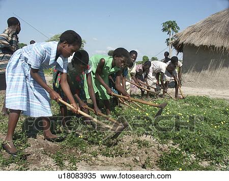 Stock Photography - zambia, people, beauty, person, girl, food. Fotosearch