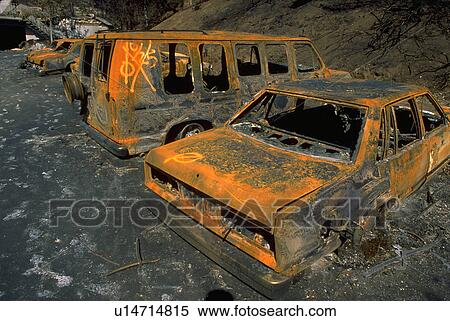 Stock Photography - 1991, fire, aftermath, firestorm, oakland, nature. Fotosearch