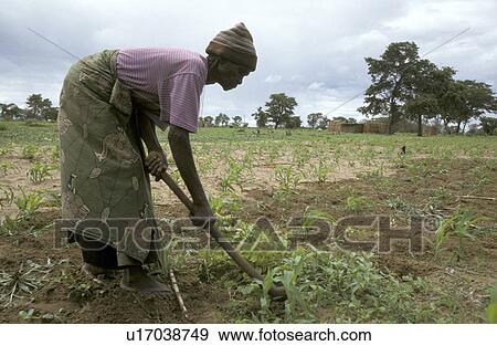 Stock Photo - 75, person, milopi, sikopo, zambia, people. Fotosearch