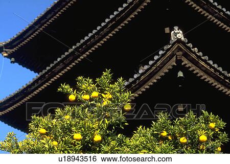 architecture, frame, pattern, house, people, tree View Large Photo Image Stock Photograph - architecture, frame, pattern, house, people, tree. Fotosearch