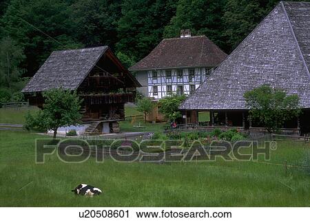 ballenburg, reconstructed, house, farm, swiss, relocated View Large Photo Image Stock Image - ballenburg, reconstructed, house, farm, swiss, relocated. Fotosearch