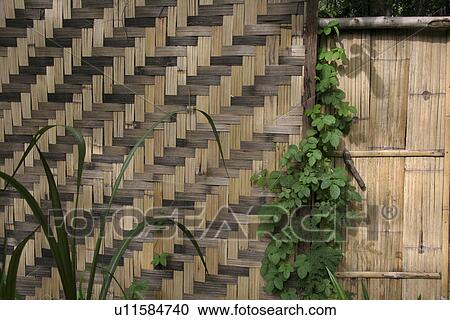 Stock Image - bamboo, pattern, woven, thailand, nature, background. Fotosearch