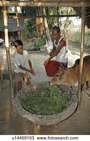 Stock Image - bangladesh, child, kid, children, person, people. Fotosearch