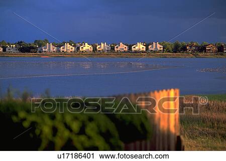 bay, houses, francisco, san, shore, water View Large Photo Image Stock Image - bay, houses, francisco, san, shore, water. Fotosearch