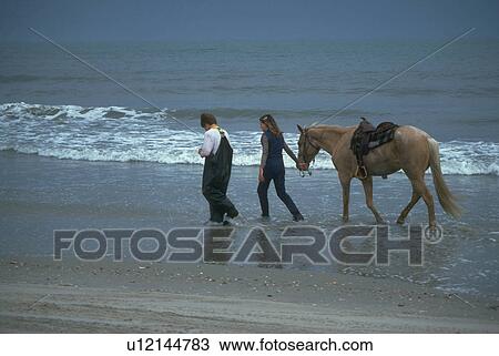 beach, young, horse, females, women, two View Large Photo Image Stock Image - beach, young, horse, females, women, two. Fotosearch