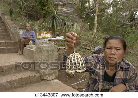 birds, people, selling, laos, person, woman View Large Photo Image Stock Photo - birds, people, selling, laos, person, woman. Fotosearch