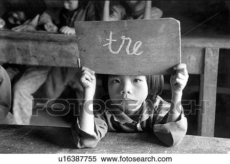 Stock Photography - black, schools, tre, white, 384. Fotosearch