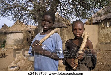 bolgatanga, person, bongo, boys, ghana, people View Large Photo Image Stock Photograph - bolgatanga, person, bongo, boys, ghana, people. Fotosearch