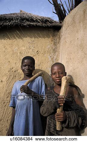Picture - bongo, person, boys, ghana, 7566, people. Fotosearch
