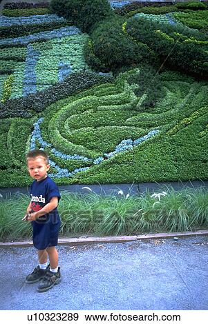 boy, flowers, young, kid, child, family View Large Photo Image Stock Photo - boy, flowers, young, kid, child, family. Fotosearch