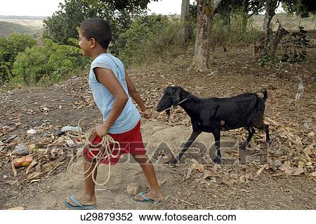 boy, sport, brazil, kid, person, people View Large Photo Image Stock Image - boy, sport, brazil, kid, person, people. Fotosearch
